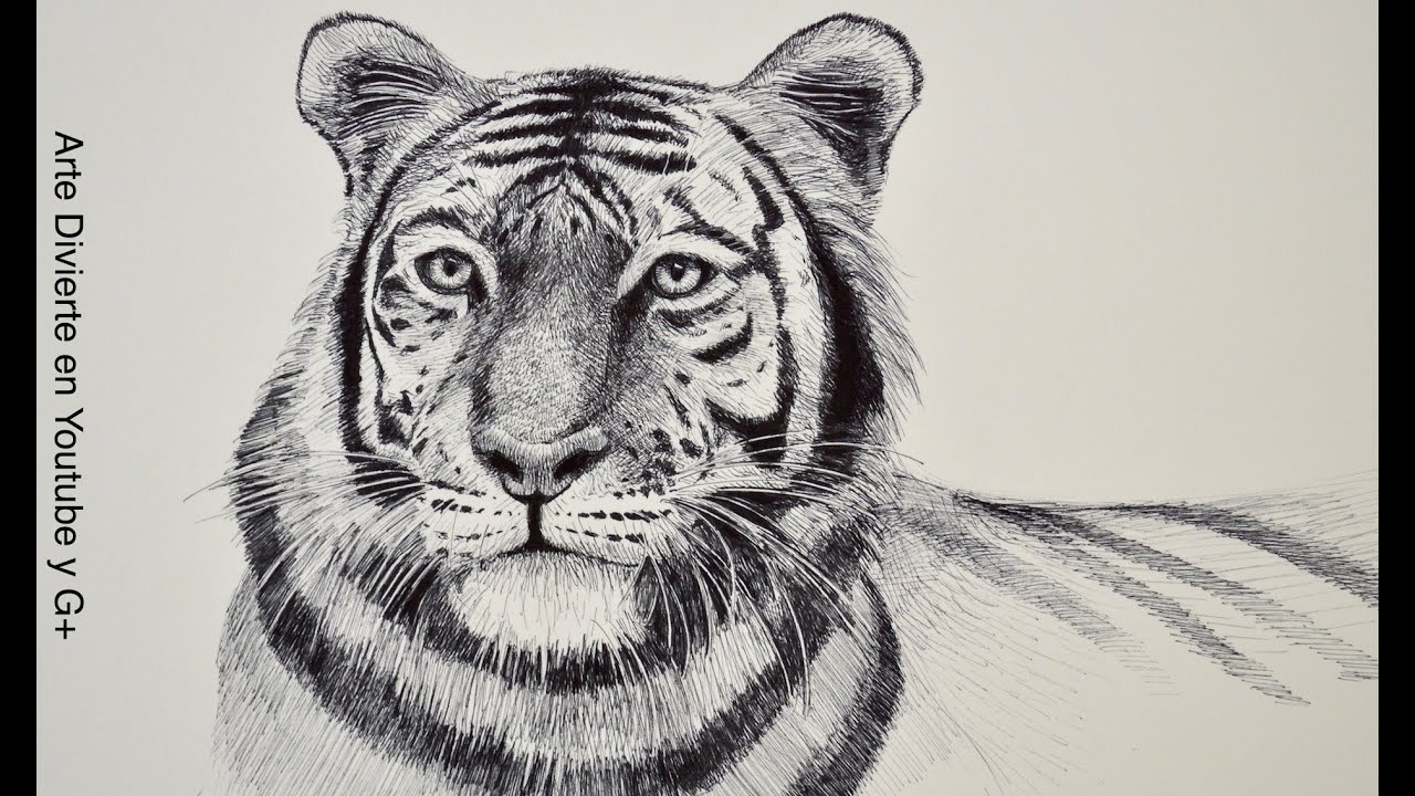 Aprender a Dibujar: Clases de dibujo en línea  - ArteDivierte