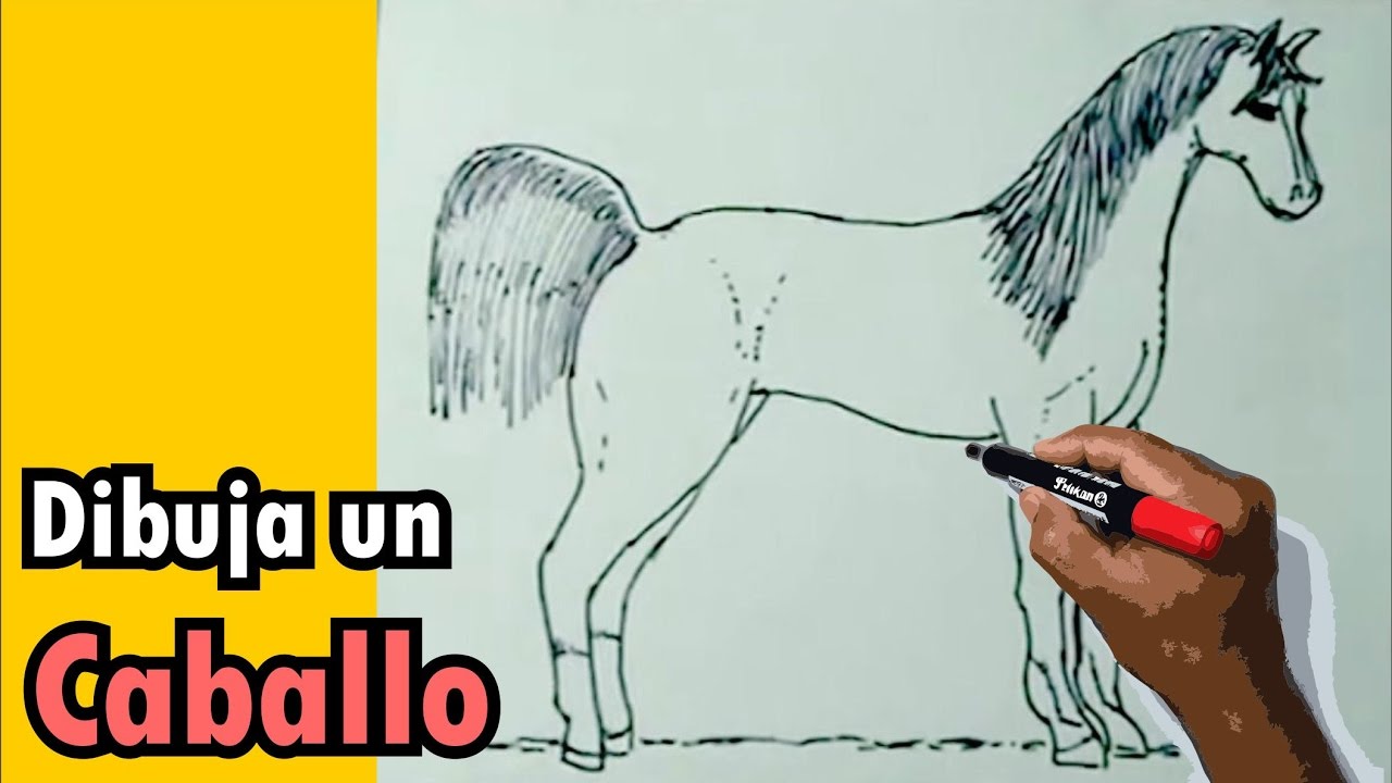 Dibujos de animales 1/8 - Cómo dibujar un caballo - horse drawing