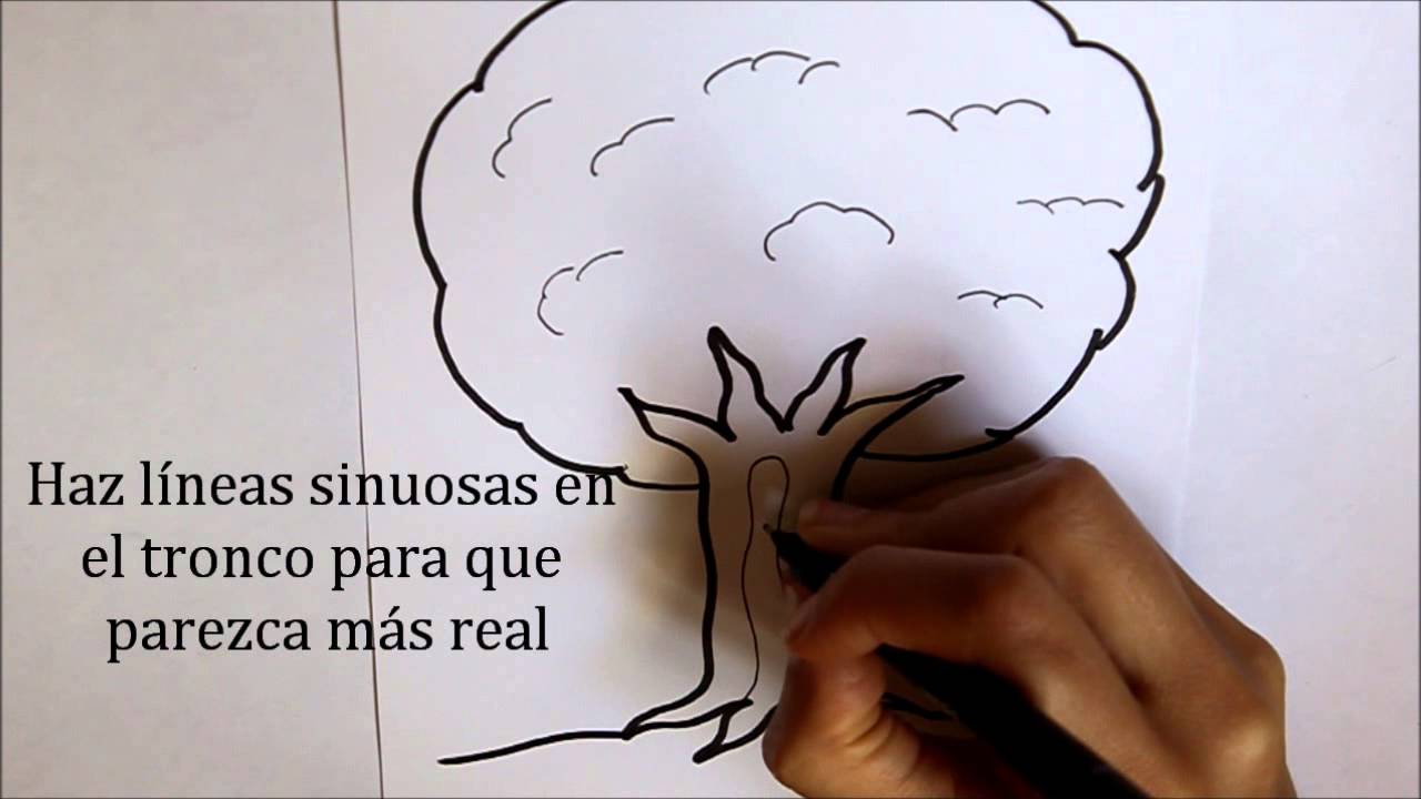 Cómo dibujar un Árbol Dibuja Conmigo Dibujos de Naturaleza