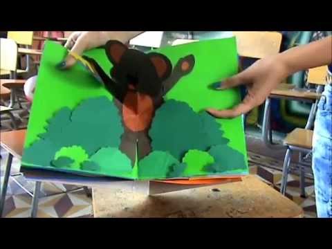 pop up Book