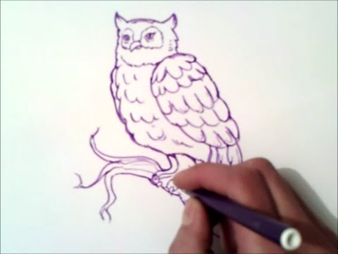 como dibujar un buho paso a paso | como dibujar un buho