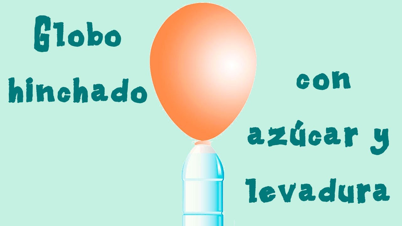Inflar un globo con azúcar y levadura. Ciencia para niños