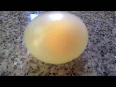 Experimento Casero / Huevo Transparente que Rebota