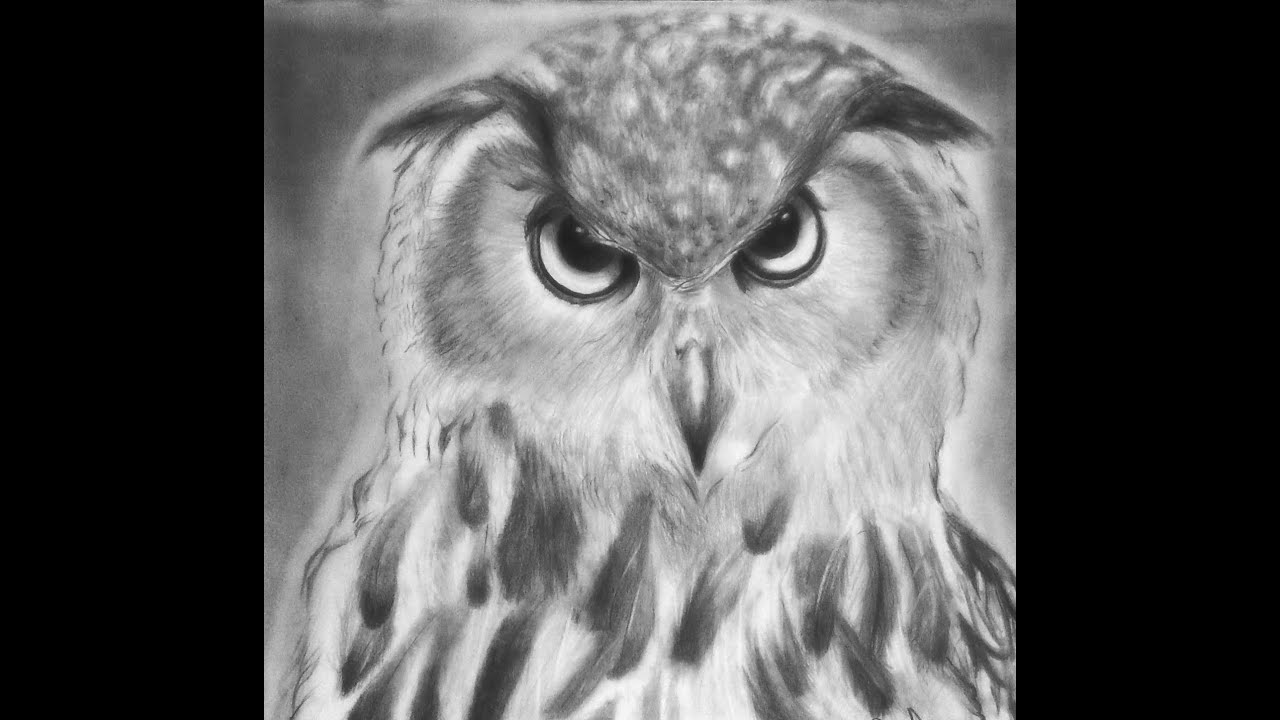 Dibujo realista de Buho a Lapiz