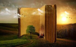 libros de educación emocional