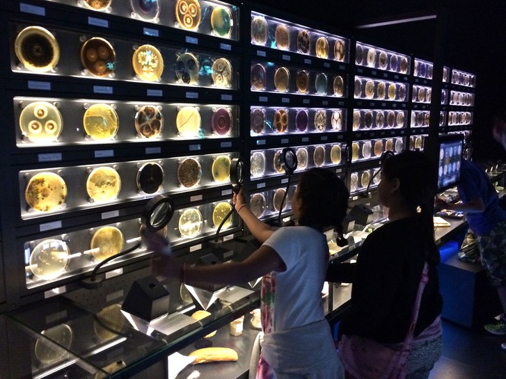 museo micropia