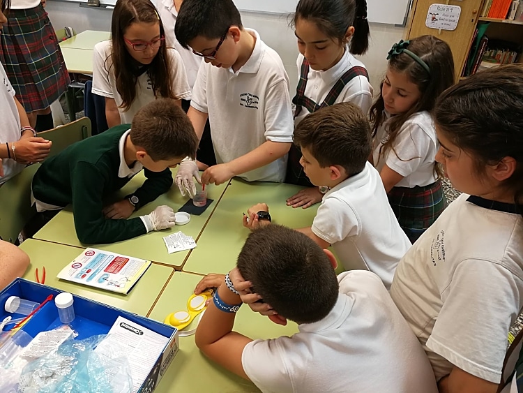 preparando experimentos libro del agua