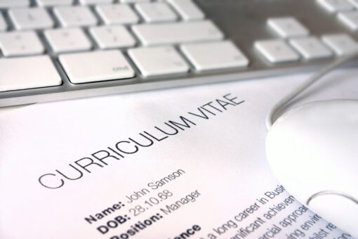 curriculum vitae destacar