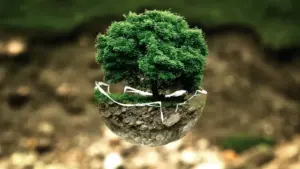 Respetar el medio ambiente