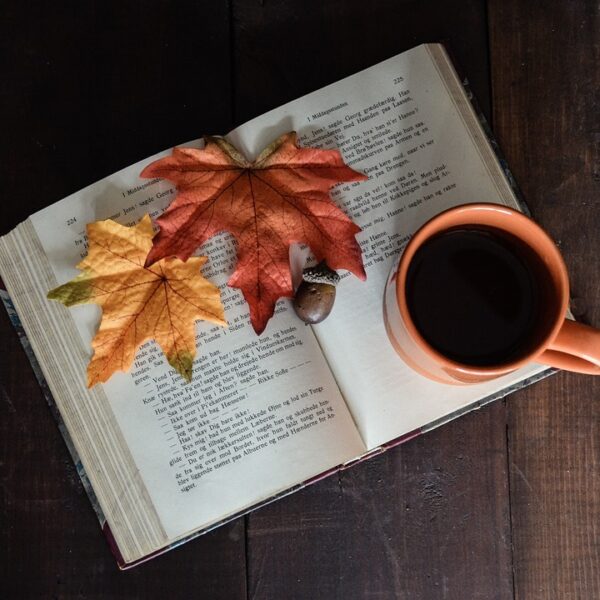 Los mejores libros para leer en otoño
