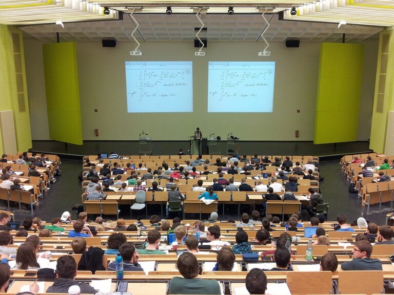 Home Elementor 5 consejos para estudiantes universitarios