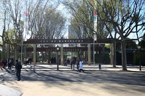 Concurso sobre el zoo Barcelona